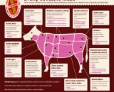 infografika-krava-stiborek-reznictvi